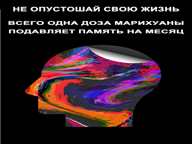 2. Не опустошай свою жизнь.jpg